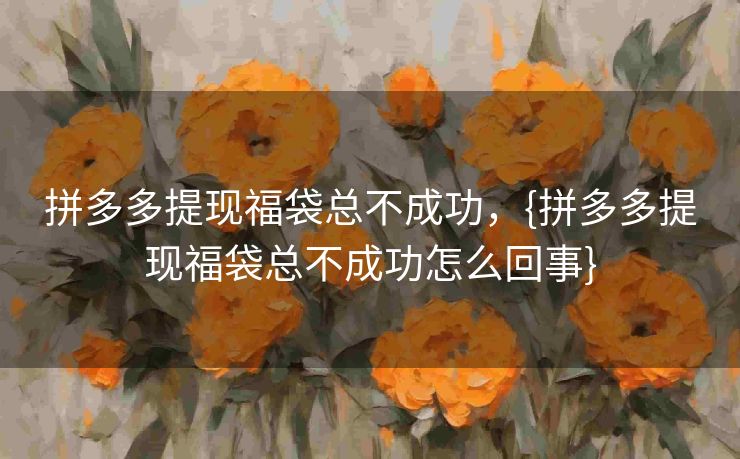 拼多多提现福袋总不成功，{拼多多提现福袋总不成功怎么回事}