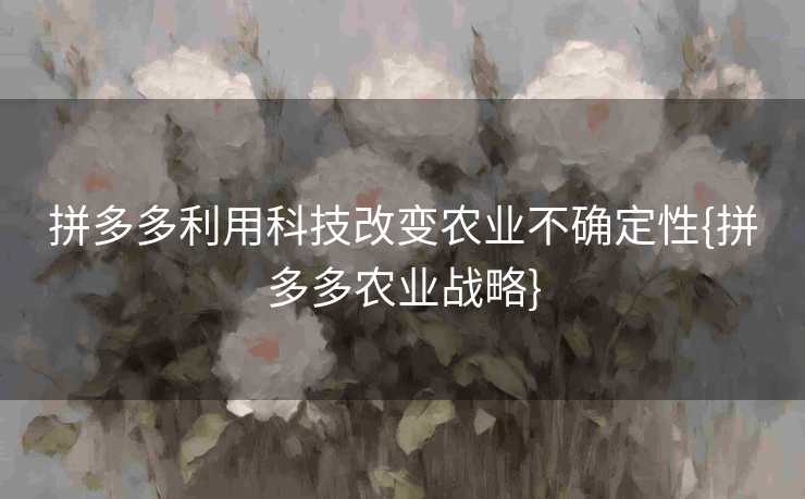 拼多多利用科技改变农业不确定性{拼多多农业战略} 拼多多利用科技改变农业不确定性{拼多多农业战略}